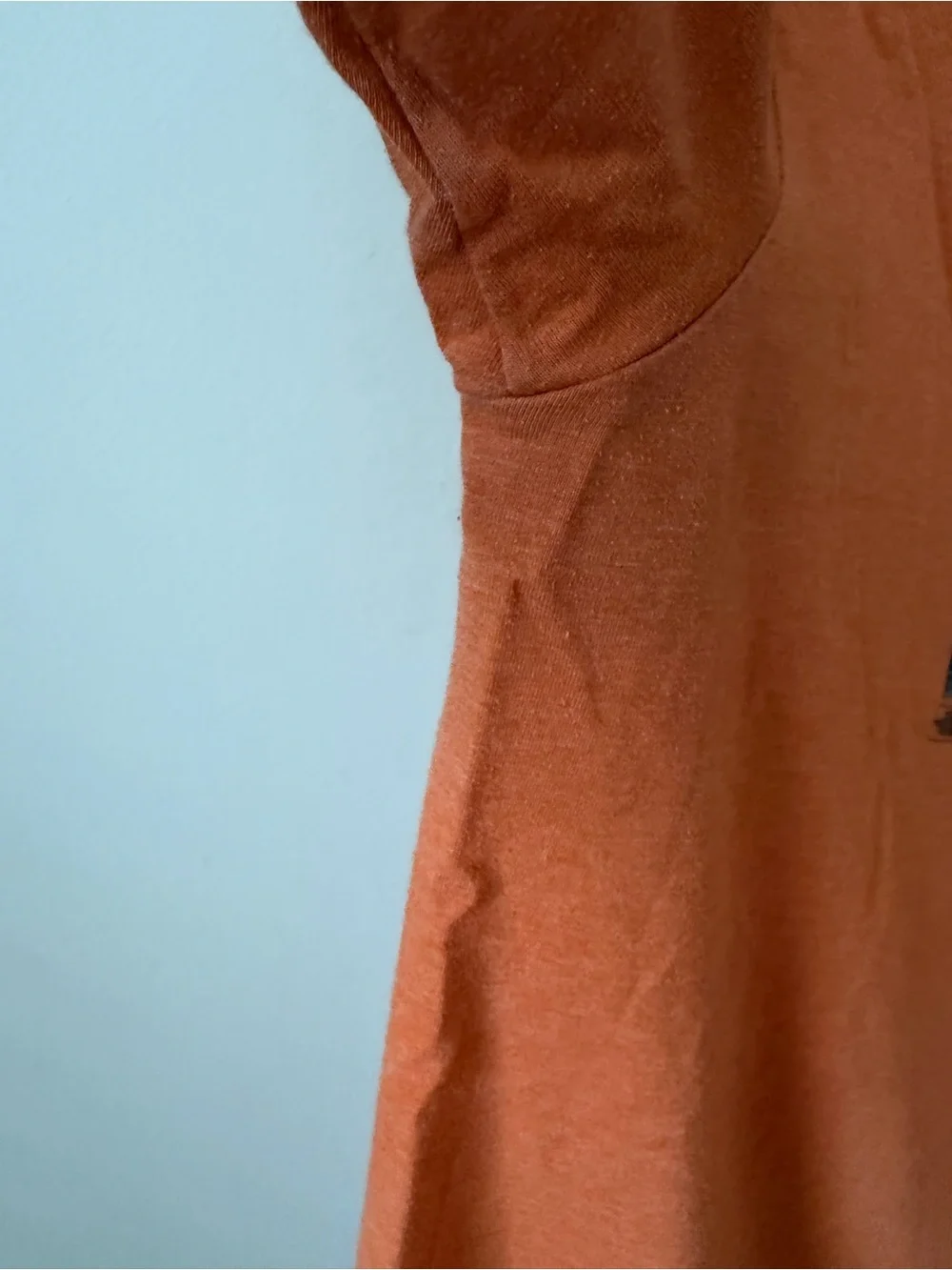 The North Face Grand Canyon National Park Graphic Tee Shirt Orange Rust Mens M